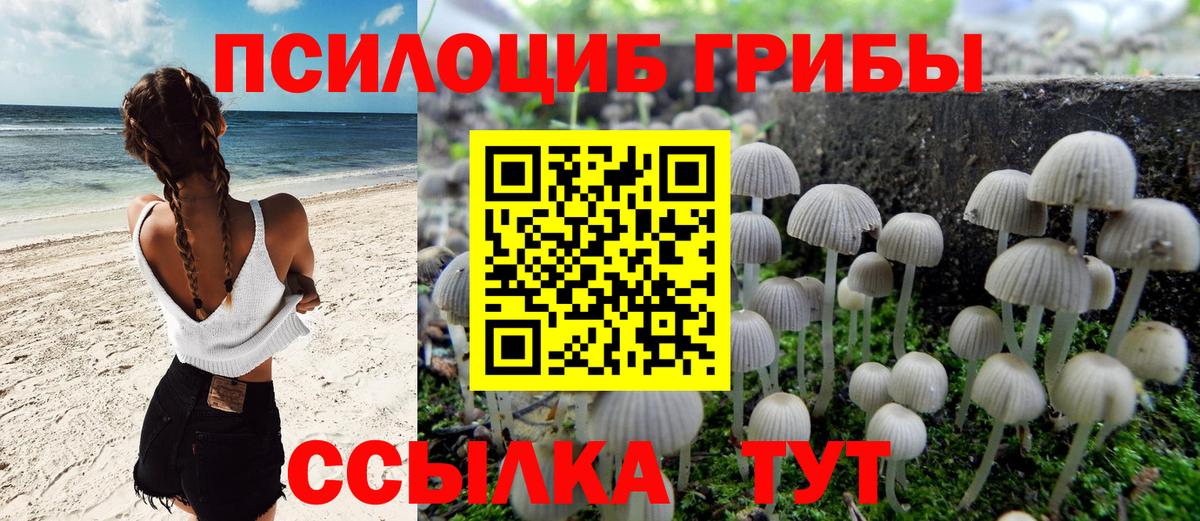 Галлюциногенные грибы Magic Shrooms  Вход с VPN  Топки 