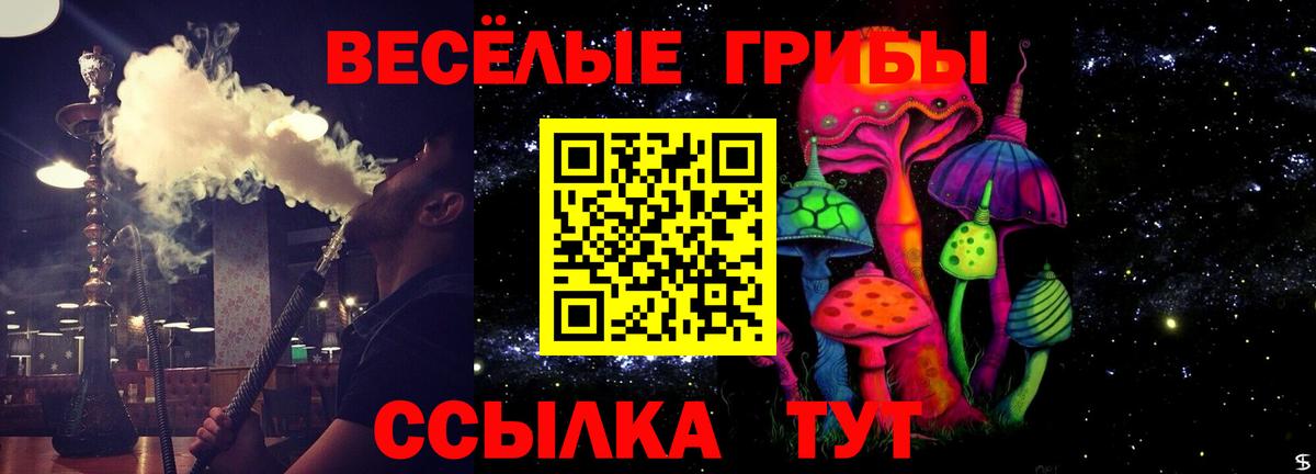 Псилоцибиновые грибы GOLDEN TEACHER Топки